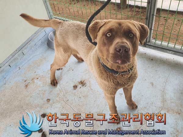 한국동물구조관리협회_441559202300108